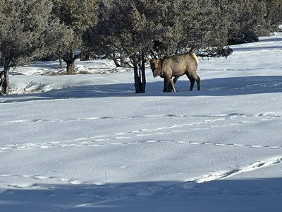 Gorgeous Home located in Fort Heron Preserve with fishing rights - image 36