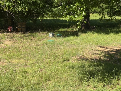 Land with RV parking and shop building - image 18