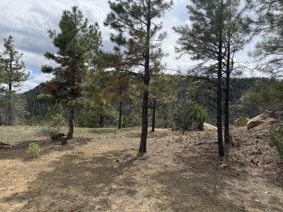 4.9 Acres in Diamante Acres with great views and a bunk house - image 6