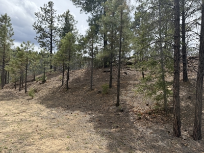 4.9 Acres in Diamante Acres with great views and a bunk house - image 4