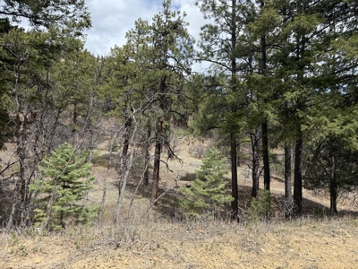 4.9 Acres in Diamante Acres with great views and a bunk house - image 2