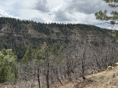 4.9 Acres in Diamante Acres with great views and a bunk house - image 11