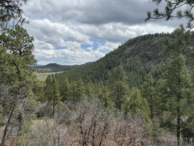 4.9 Acres in Diamante Acres with great views and a bunk house - image 12