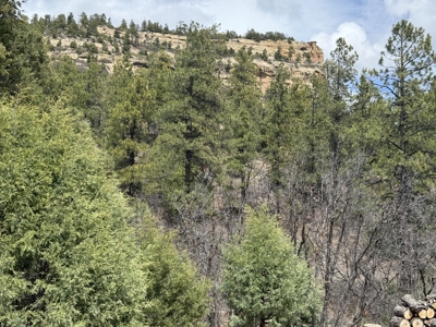 4.9 Acres in Diamante Acres with great views and a bunk house - image 9