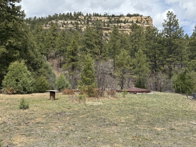 4.9 Acres in Diamante Acres with great views and a bunk house - image 14