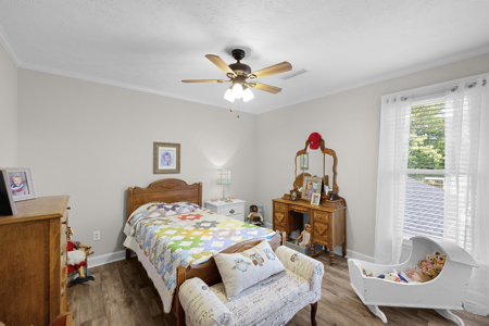 Two Homes, One Property | Multi-Generational Living + Income Opp. - image 31