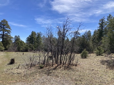 Beautiful 7.7 acre parcel near Chama New Mexico - image 31