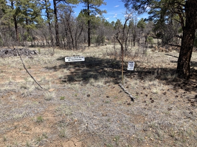 Beautiful 7.7 acre parcel near Chama New Mexico - image 30