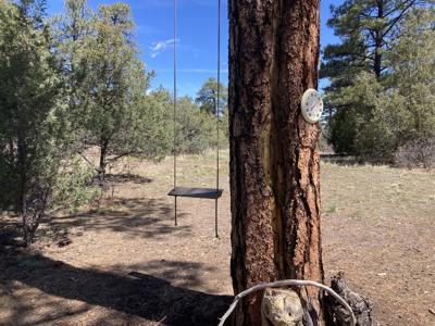 Beautiful 7.7 acre parcel near Chama New Mexico - image 20