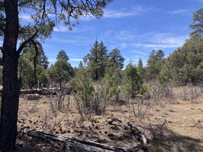 Beautiful 7.7 acre parcel near Chama New Mexico - image 34