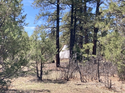 Beautiful 7.7 acre parcel near Chama New Mexico - image 33