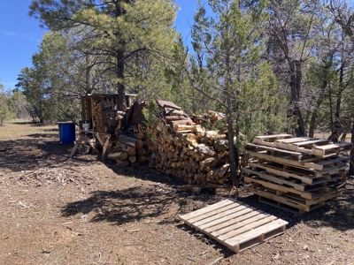 Beautiful 7.7 acre parcel near Chama New Mexico - image 6