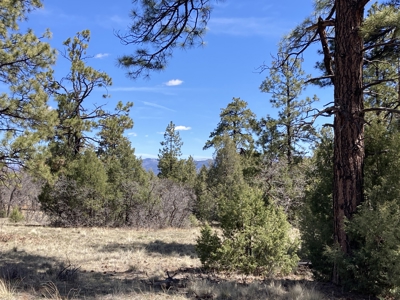 Beautiful 7.7 acre parcel near Chama New Mexico - image 28