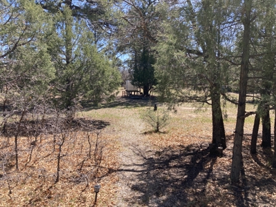 Beautiful 7.7 acre parcel near Chama New Mexico - image 17