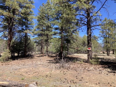 Beautiful 7.7 acre parcel near Chama New Mexico - image 2