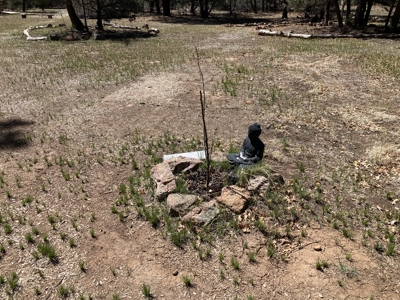 Beautiful 7.7 acre parcel near Chama New Mexico - image 18