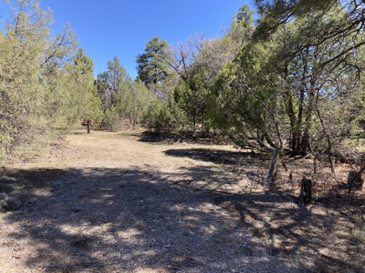 Beautiful 7.7 acre parcel near Chama New Mexico - image 3