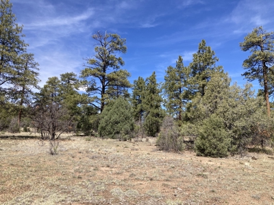 Beautiful 7.7 acre parcel near Chama New Mexico - image 27