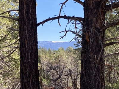 Beautiful 7.7 acre parcel near Chama New Mexico - image 35