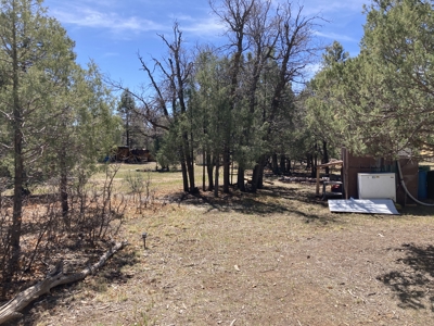 Beautiful 7.7 acre parcel near Chama New Mexico - image 12