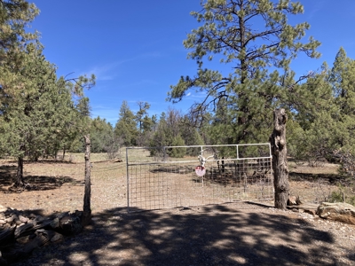 Beautiful 7.7 acre parcel near Chama New Mexico - image 1