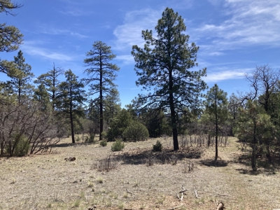 Beautiful 7.7 acre parcel near Chama New Mexico - image 29