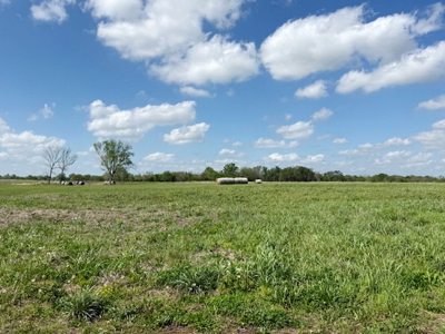 Prime 3-Acre Tract in the Heart of Cedar County - image 6