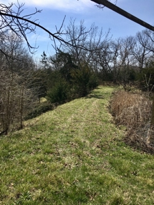 Perfect Country Escape - Dawn, MO! - image 22