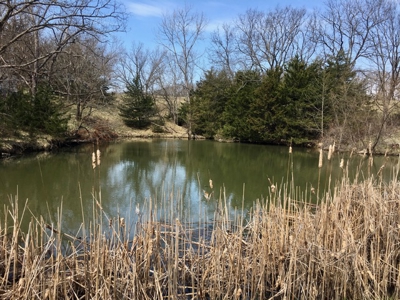 Perfect Country Escape - Dawn, MO! - image 25