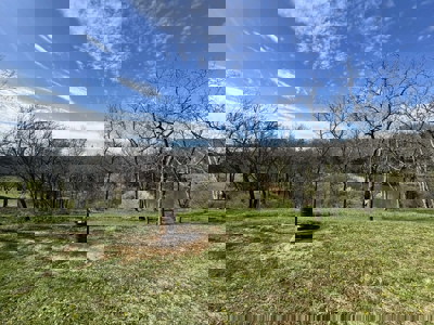 Perfect Country Escape - Dawn, MO! - image 21