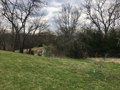 Perfect Country Escape - Dawn, MO! - image 27