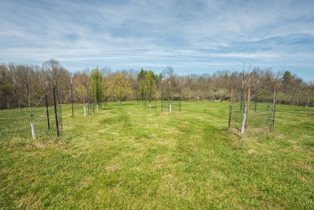 Custom Country Home and Land for Sale in Floyd, VA - image 47