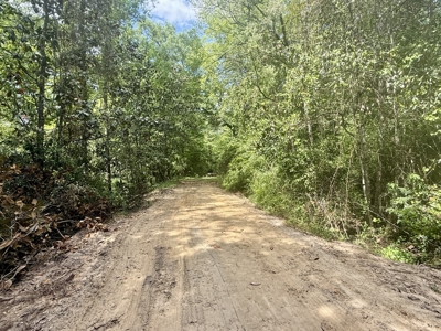 105ac Hunting Land South of Hartford Alabama w/ Hurricane Creek - image 3