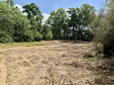 105ac Hunting Land South of Hartford Alabama w/ Hurricane Creek - image 17