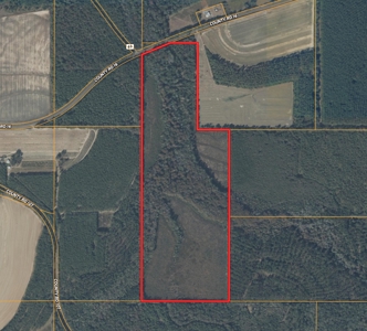 105ac Hunting Land South of Hartford Alabama w/ Hurricane Creek - image 38