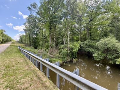 105ac Hunting Land South of Hartford Alabama w/ Hurricane Creek - image 6