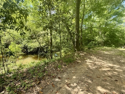 105ac Hunting Land South of Hartford Alabama w/ Hurricane Creek - image 22