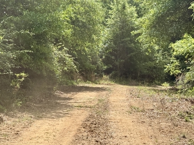 105ac Hunting Land South of Hartford Alabama w/ Hurricane Creek - image 33