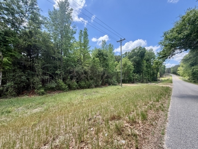 105ac Hunting Land South of Hartford Alabama w/ Hurricane Creek - image 7