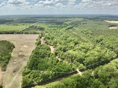 105ac Hunting Land South of Hartford Alabama w/ Hurricane Creek - image 13