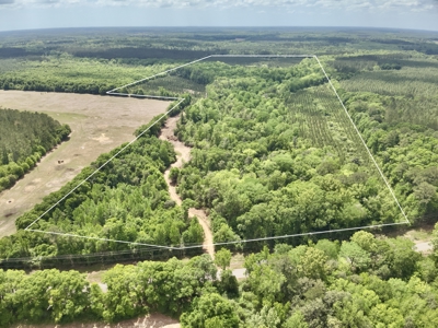 105ac Hunting Land South of Hartford Alabama w/ Hurricane Creek - image 21