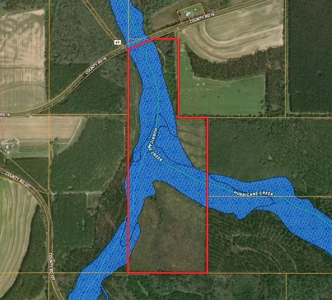 105ac Hunting Land South of Hartford Alabama w/ Hurricane Creek - image 10