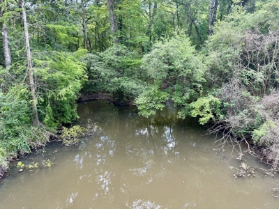 105ac Hunting Land South of Hartford Alabama w/ Hurricane Creek - image 29