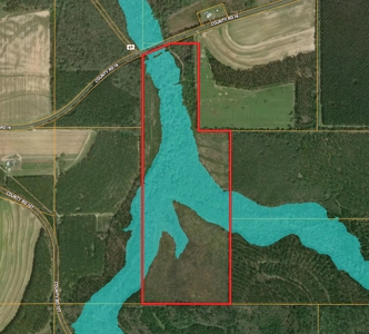105ac Hunting Land South of Hartford Alabama w/ Hurricane Creek - image 9