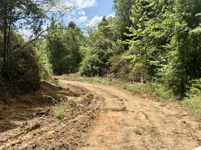 105ac Hunting Land South of Hartford Alabama w/ Hurricane Creek - image 11