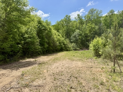 105ac Hunting Land South of Hartford Alabama w/ Hurricane Creek - image 5