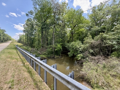 105ac Hunting Land South of Hartford Alabama w/ Hurricane Creek - image 24
