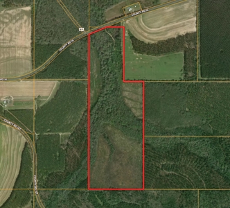 105ac Hunting Land South of Hartford Alabama w/ Hurricane Creek - image 8