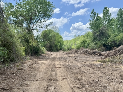 105ac Hunting Land South of Hartford Alabama w/ Hurricane Creek - image 32