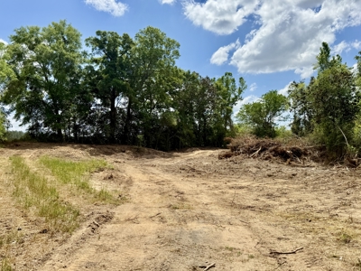 105ac Hunting Land South of Hartford Alabama w/ Hurricane Creek - image 16